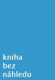 Studie z české literatury